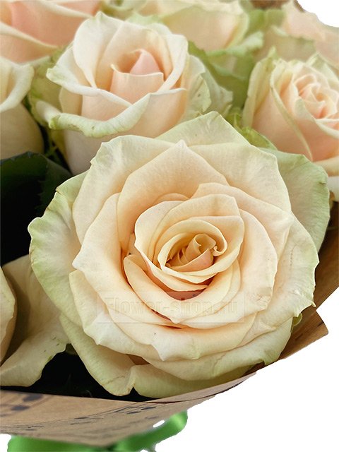 Букет из роз «Нотная грамота»