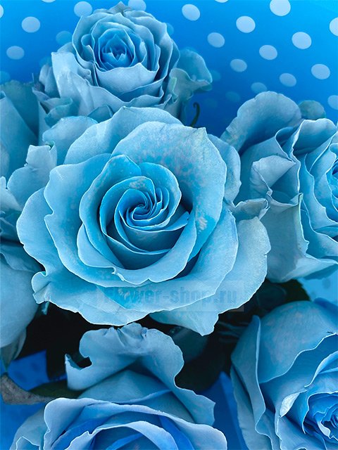 Букет из роз «Голубые Гавайи»