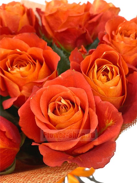 Букет из 15 рыжих эквадорских роз