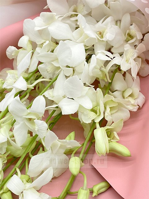 Букет из 9 белых орхидей