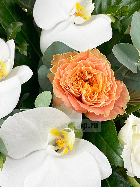 Корзина из роз, орхидей и лизиантусов «Кейптаун»
