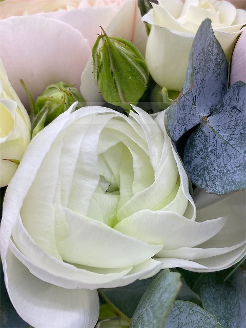 Букет невесты открытый из роз и ранункулюсов №222