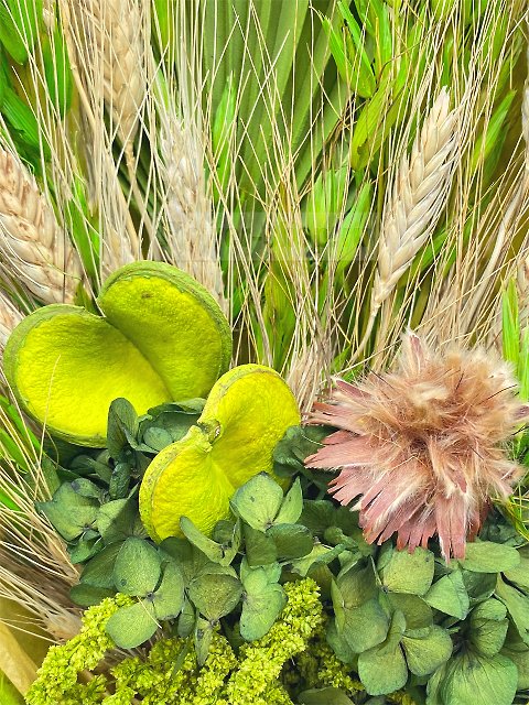 Букет из сухоцветов и стабилизированных цветов «Чиангмай»