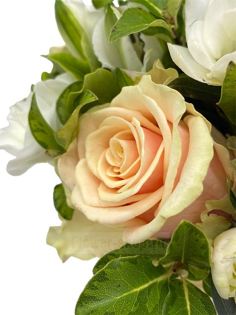 Букет невесты открытый из роз и фрезий №223