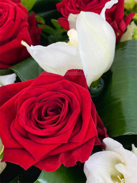 Букет из роз, орхидей и фрезий «Блокбастер»