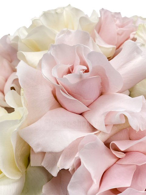 Букет из роз «Анна-Мария»