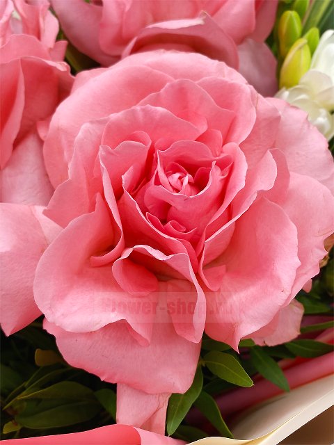 Букет из роз «Бельканто»