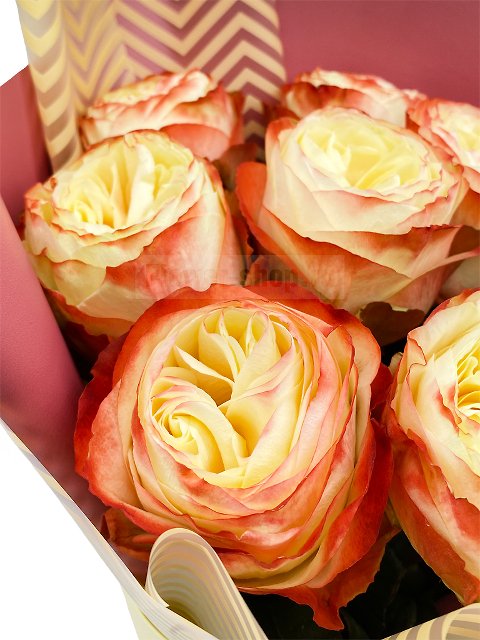 Букет из 9 красновато-персиковых роз