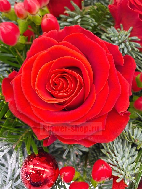 Новогодняя композиция из роз и еловых веток «Зимняя любовь»