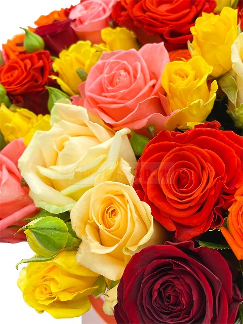 Букет из 101 розы в шляпной коробке «Пышное празднество»