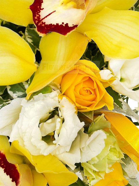 Композиция в шляпной коробке из роз и орхидей «Мамба»