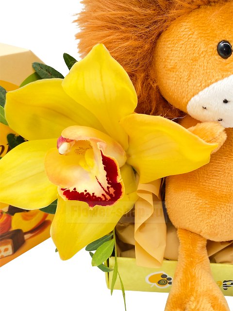 Композиция из орхидеи с мягкой игрушкой и сладостями «Каникулы Бонифация»