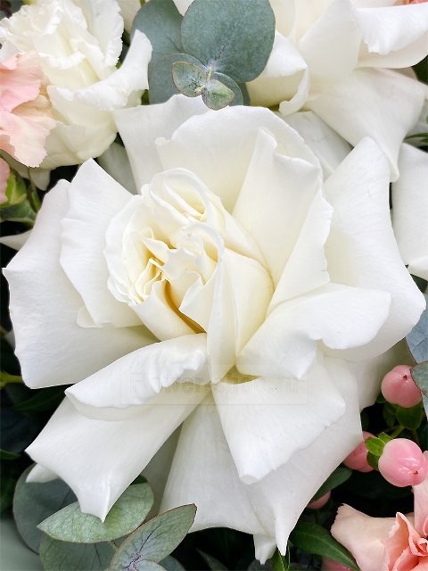 Букет из роз, гвоздик и лизиантусов «Минди»
