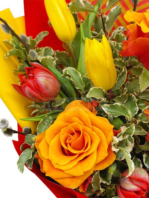 Букет из роз и тюльпанов «Весны душевные порывы»