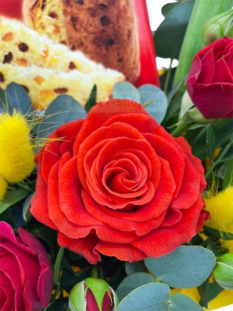 Композиция из роз и тюльпанов «Весеннее чаепитие»