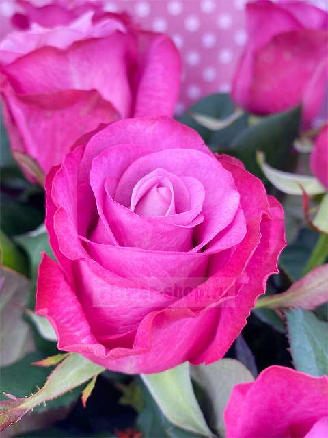 Букет из роз «Принцесса Персии»