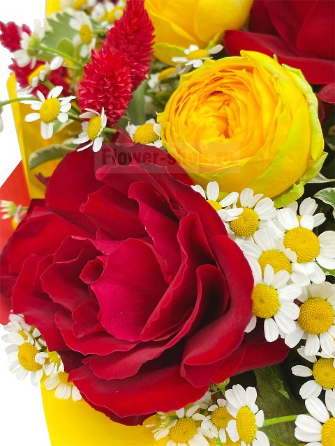 Букет из роз и ромашек «Теплое объятие»