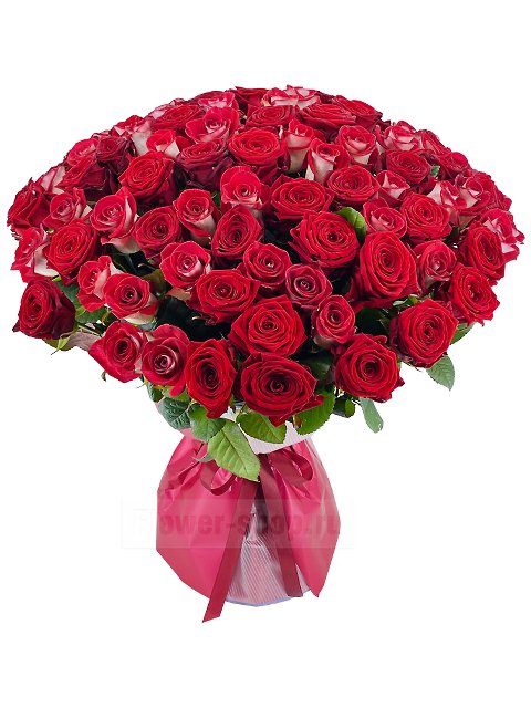 Букет из 101 высокой розы «Черри Грантс Морелла»