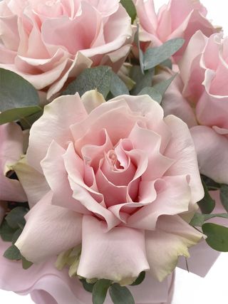 Облака пушистых роз! / Новости / Flower-shop.ru - служба доставки цветов