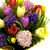 Тюльпаны и гиацинты - весна в разгар осени